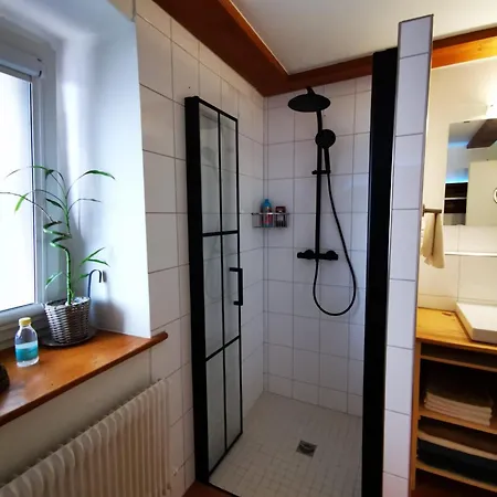 Apartment Alpenpanorama Haegelberg Steinen (Lorrach)