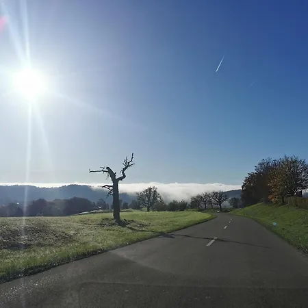 Daire Alpenpanorama Haegelberg *