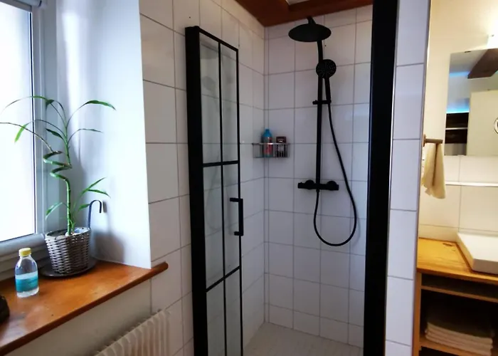 Daire Alpenpanorama Haegelberg Steinen (Lorrach)