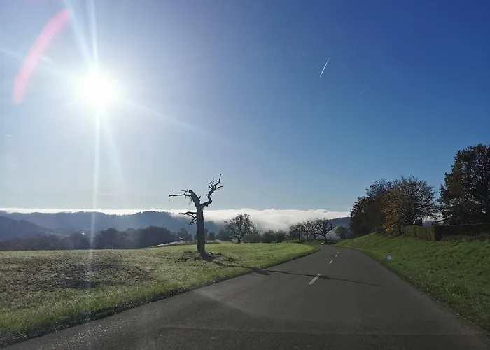 Daire Alpenpanorama Haegelberg *